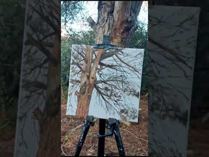 Pine tree - oil painting 